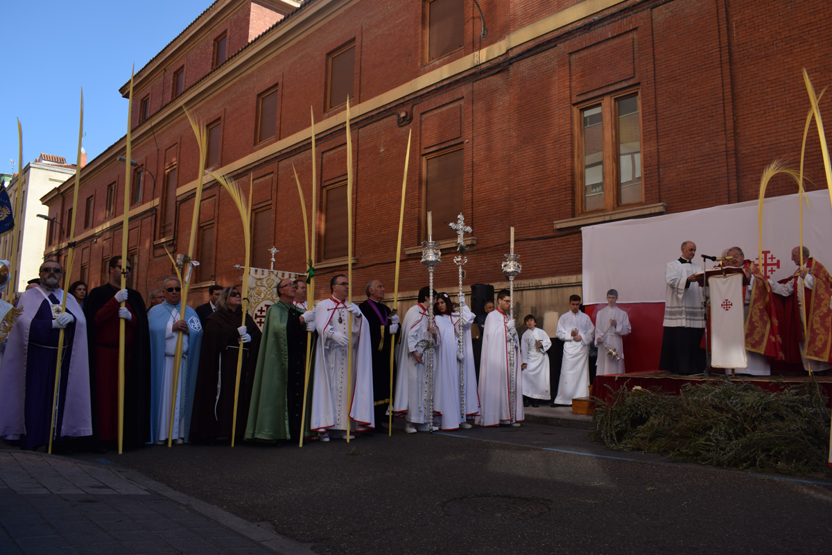 Homilías en el Domingo de Ramos 2017