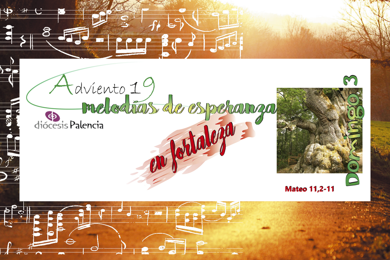 III Domingo de Adviento - En fortaleza