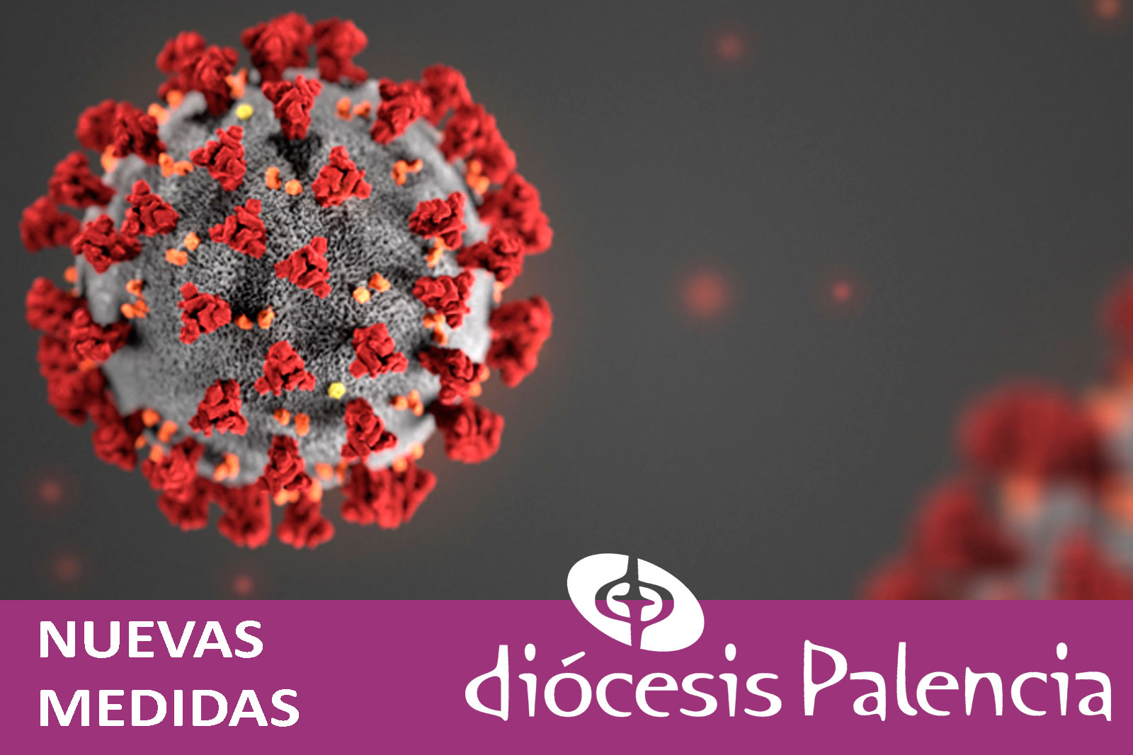 Nuevas indicaciones de la Diócesis de Palencia de cara a la prevención del contagio del coronavirus