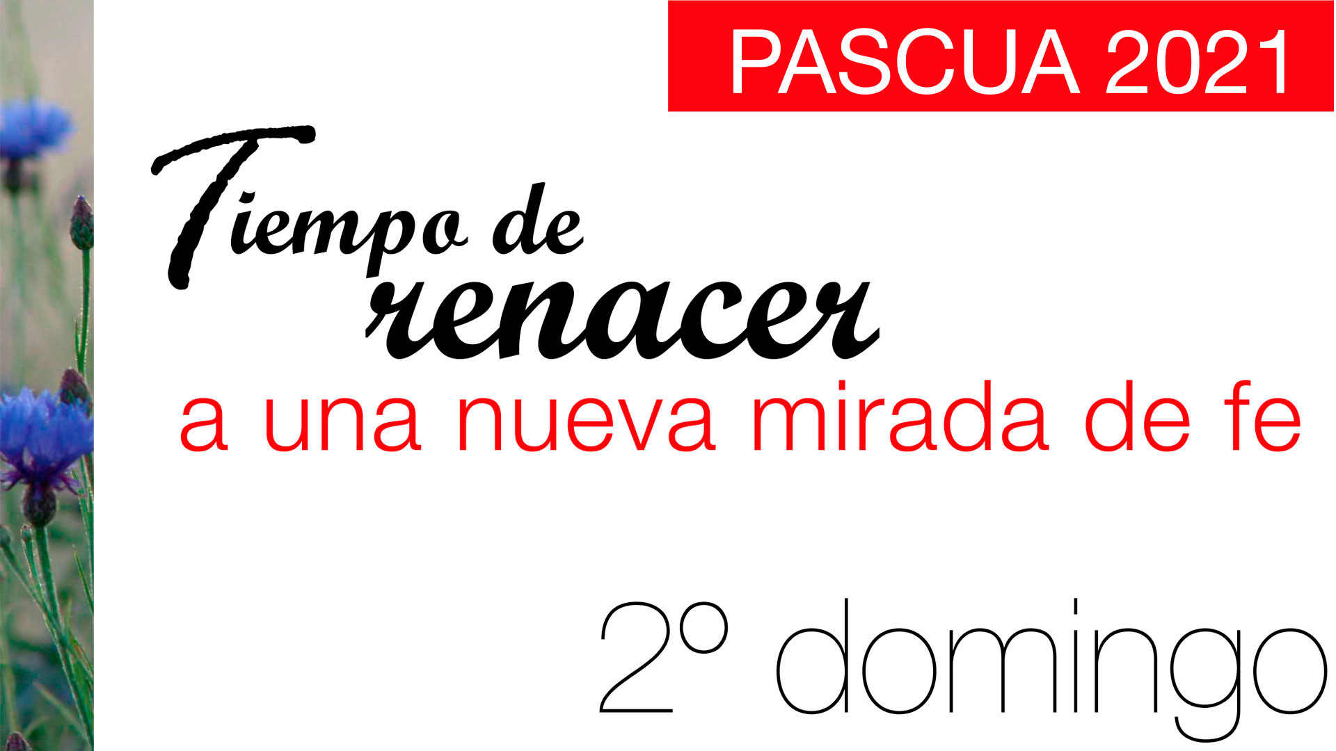 Tiempo de renacer. II Domingo de Pascua