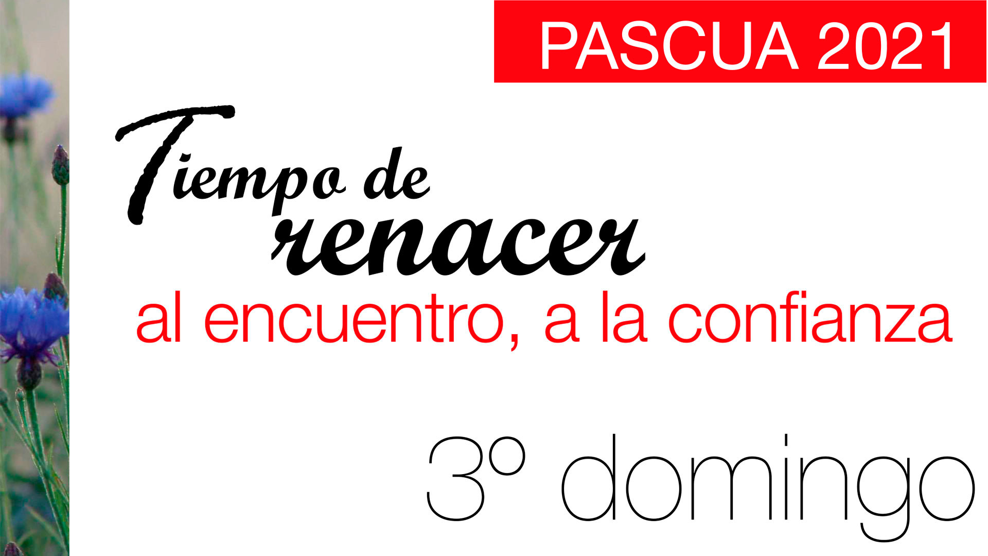 Tiempo de renacer. III Domingo de Pascua