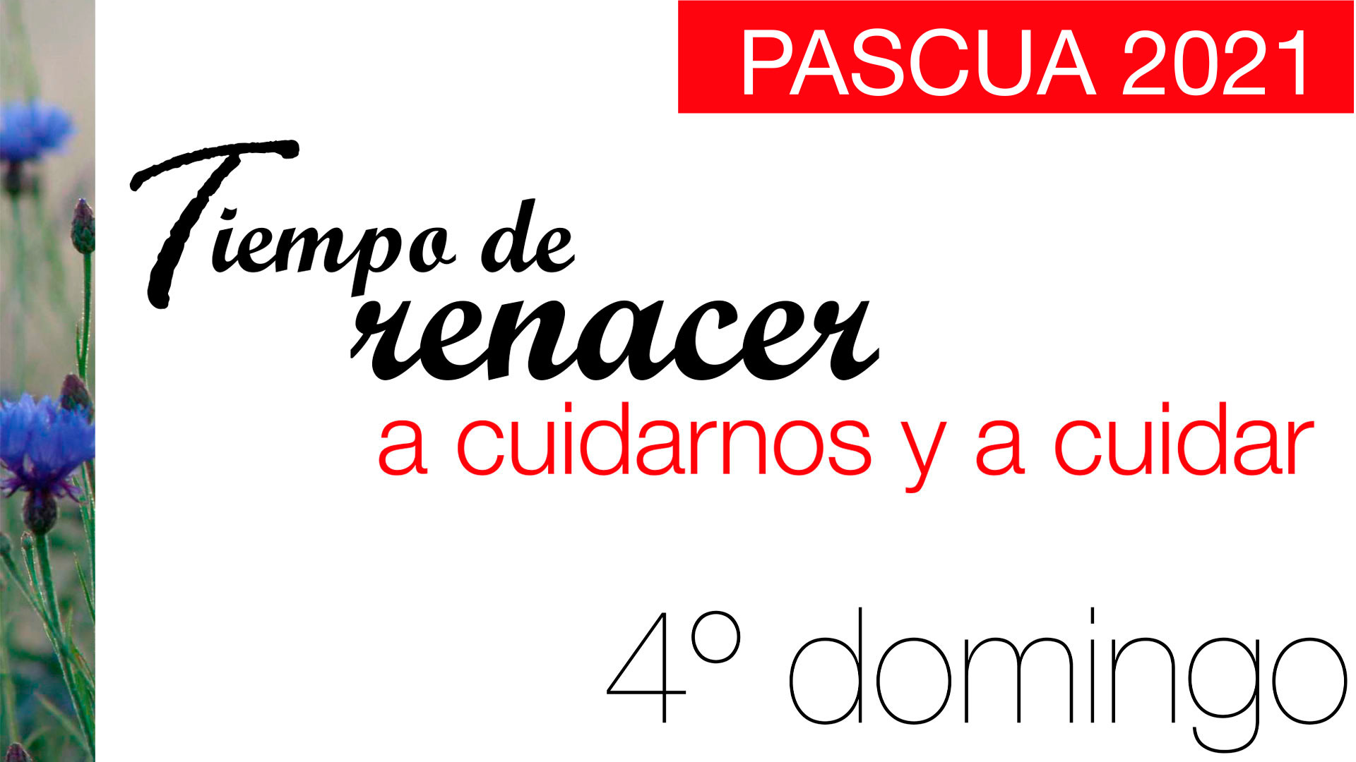 Tiempo de renacer. IV Domingo de Pascua