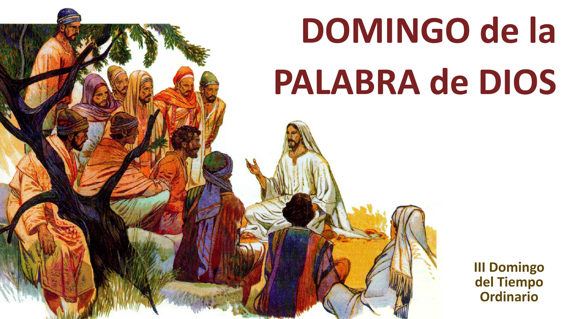 Para reavivar la importancia de la Sagrada Escritura en nuestra vida de creyentes