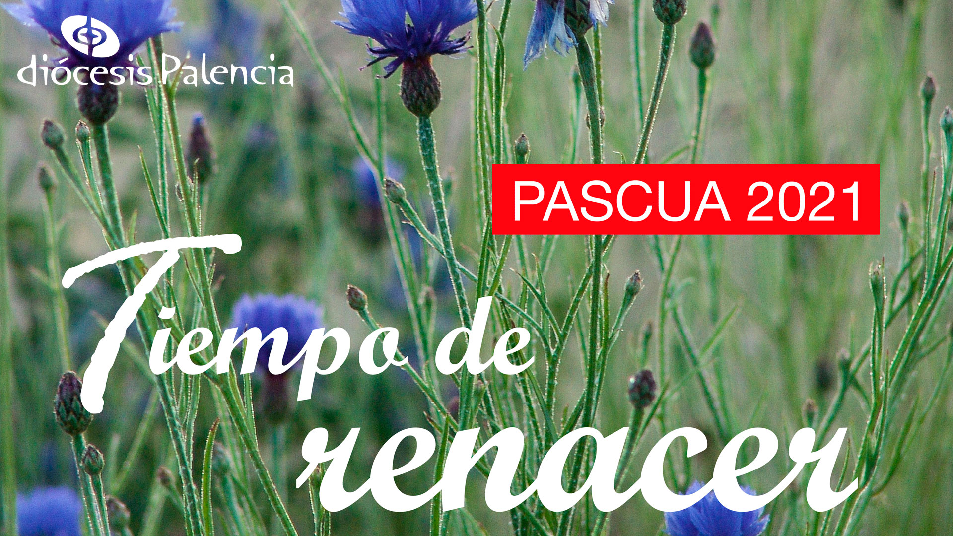 PASCUA 2021: Tiempo de renacer