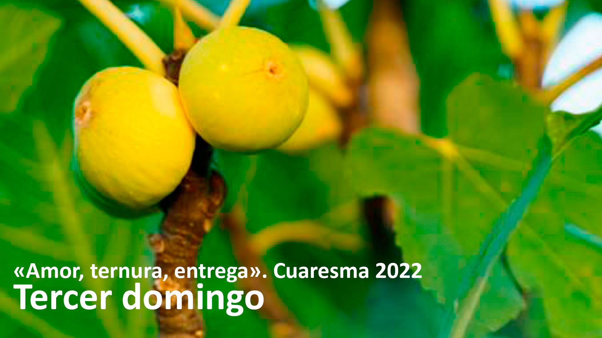 “Amor, Ternura, Entrega”. Tercer domingo de Cuaresma 