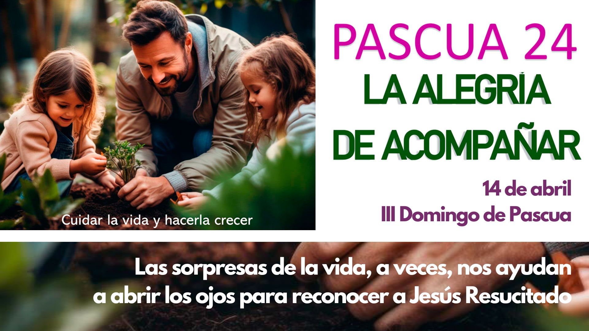Pascua24 - Tercer Domingo