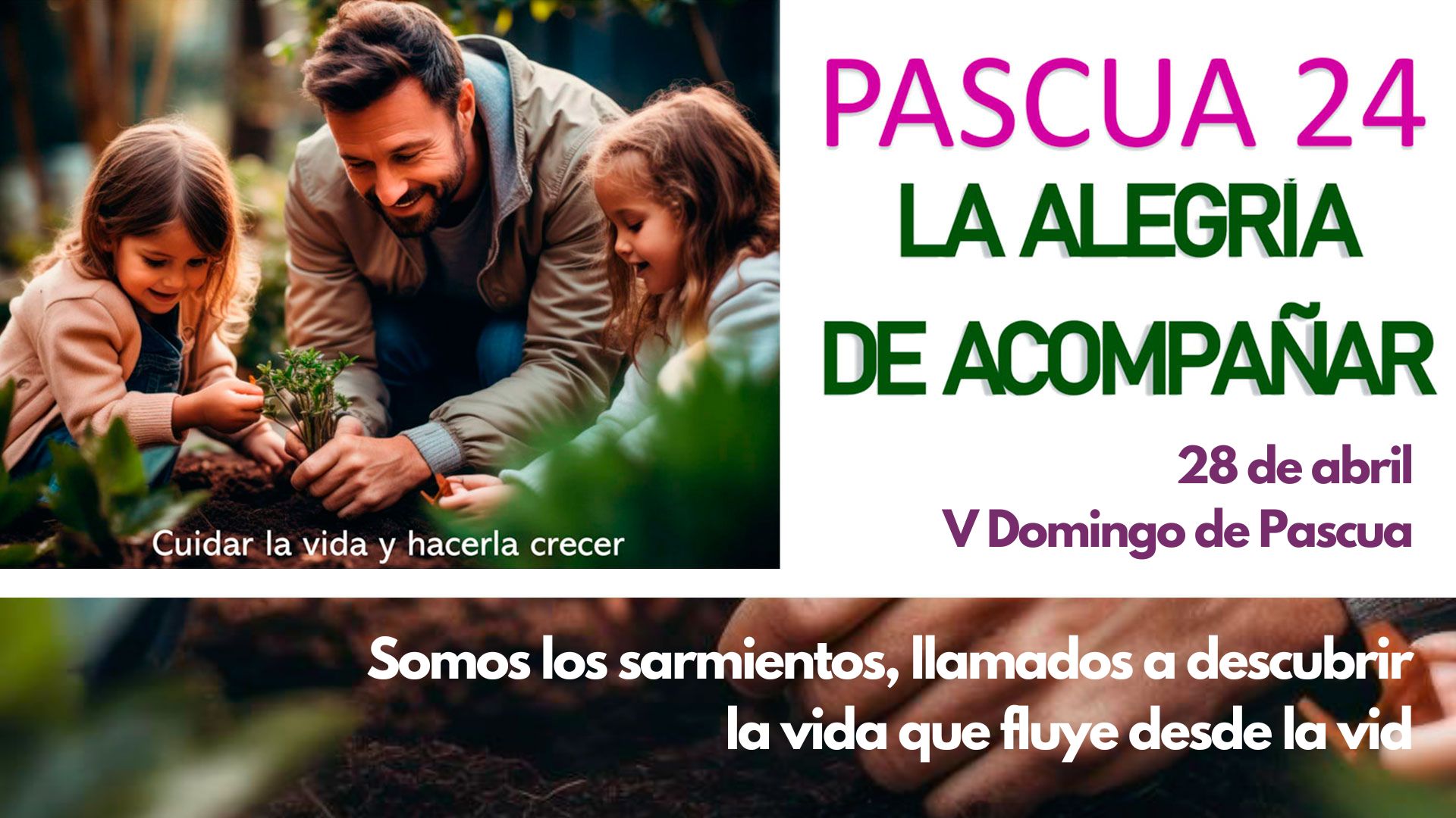 Pascua24 - Quinto Domingo