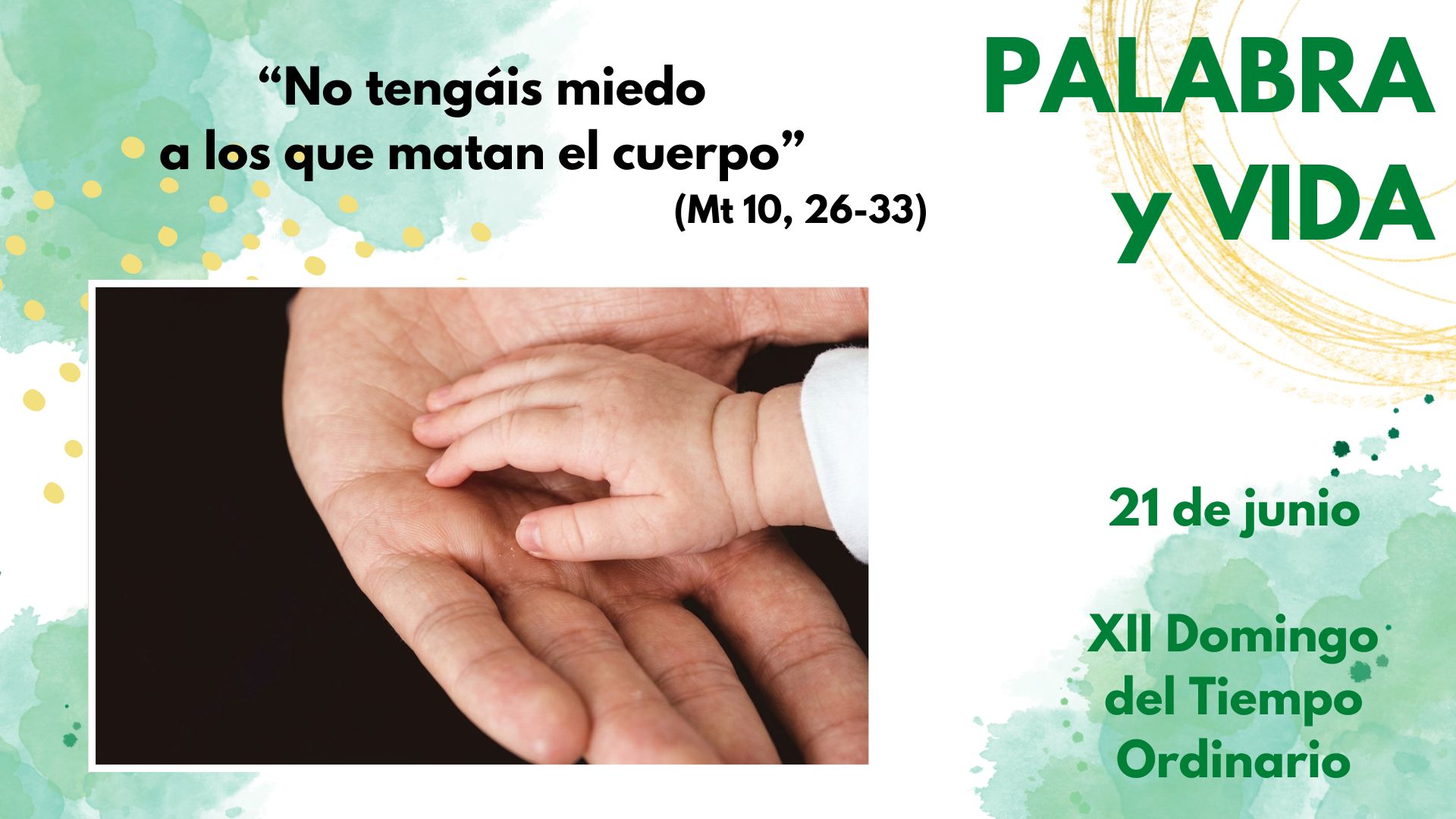 Palabra y Vida - No temas... confía
