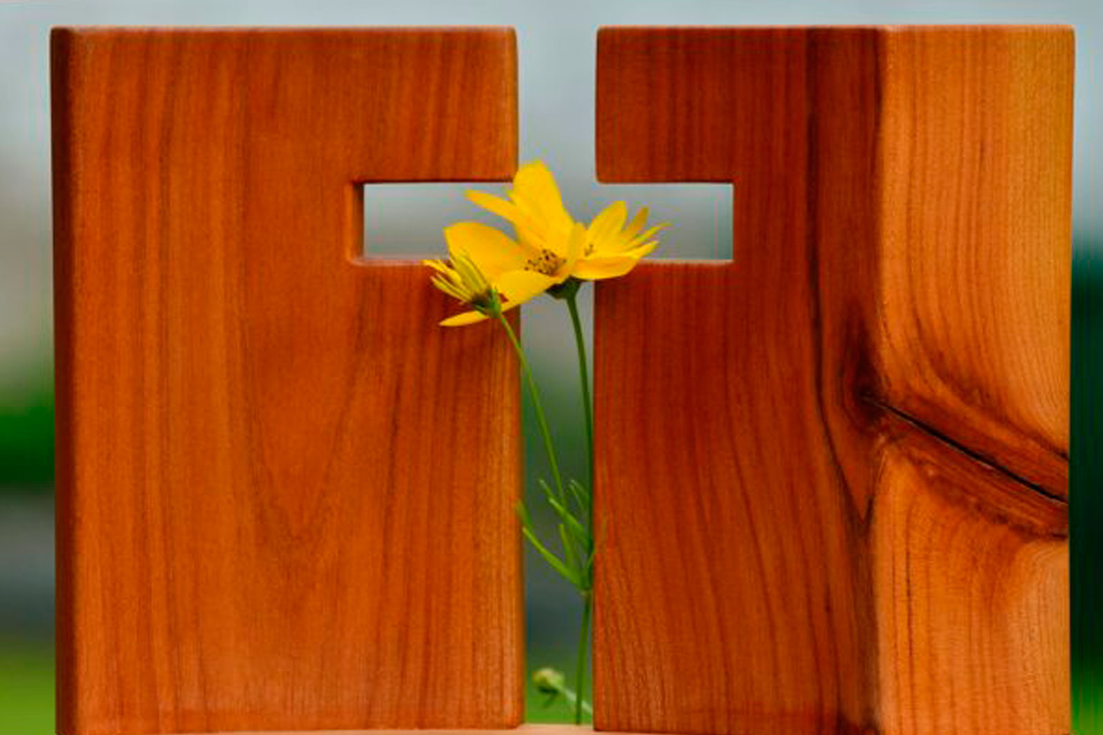 Notas sobre la Vida Cristiana